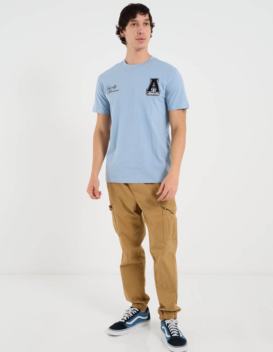 Playera aéropostale cuello redondo para hombre