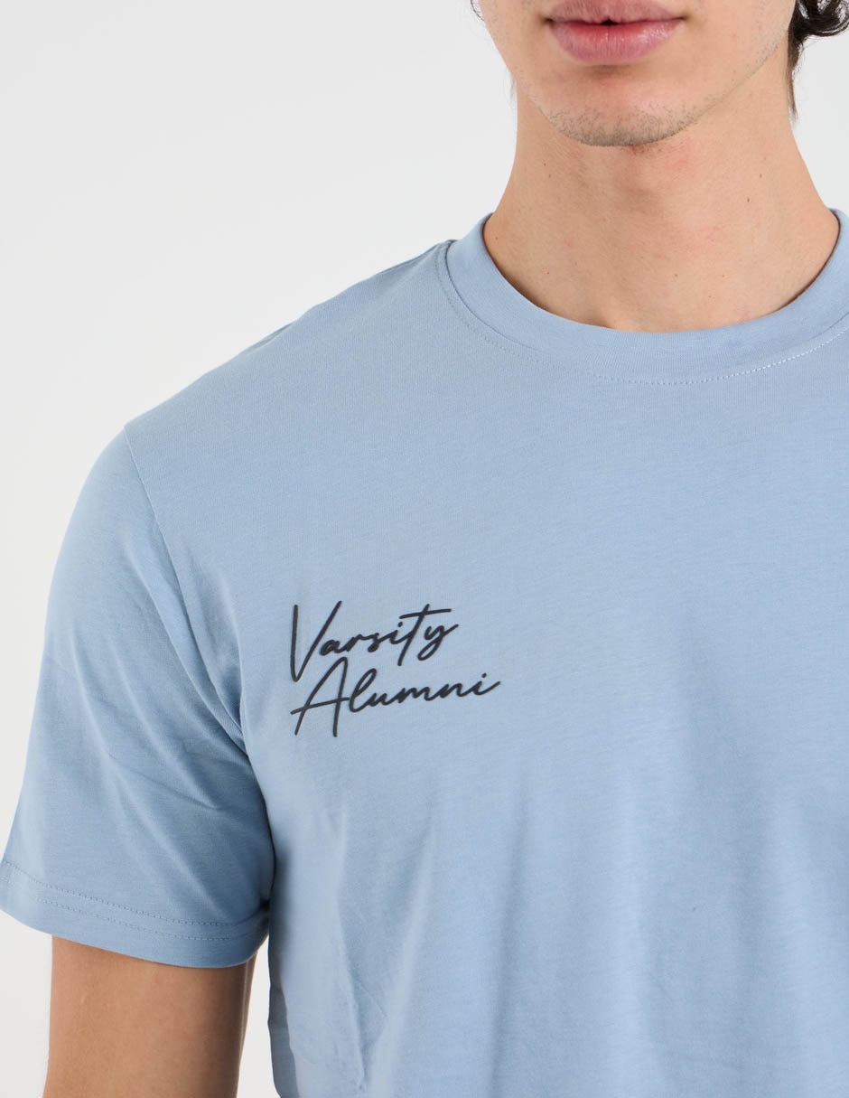 Playera aéropostale cuello redondo para hombre