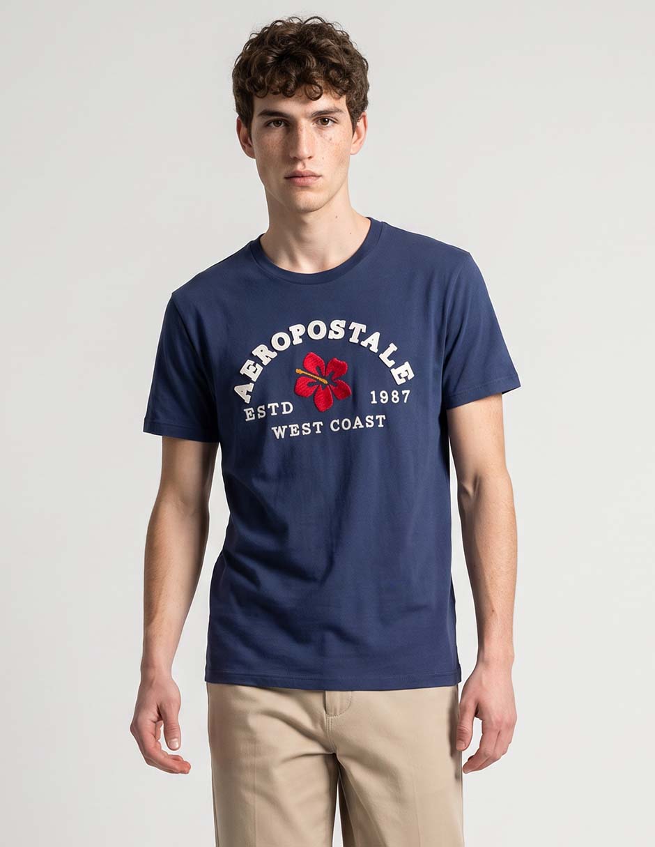 PLAYERA AERO 100267547 IND ALGODÓN M/C PLAYERA AERO 100267547 IND ALGODÓN M/C