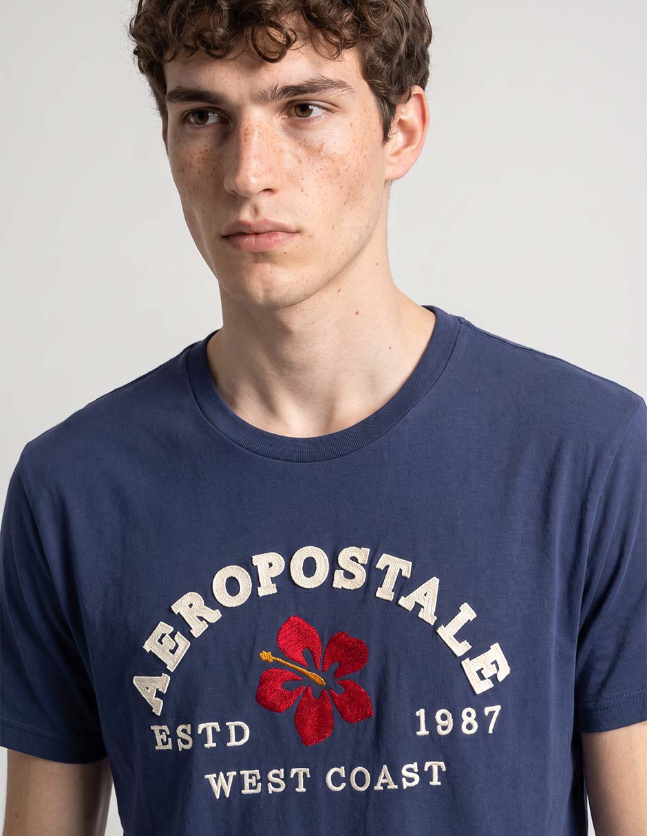 PLAYERA AERO 100267547 IND ALGODÓN M/C 3