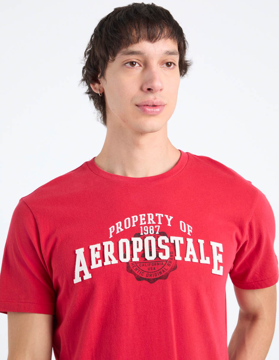 Playera Aéropostale cuello redondo para hombre