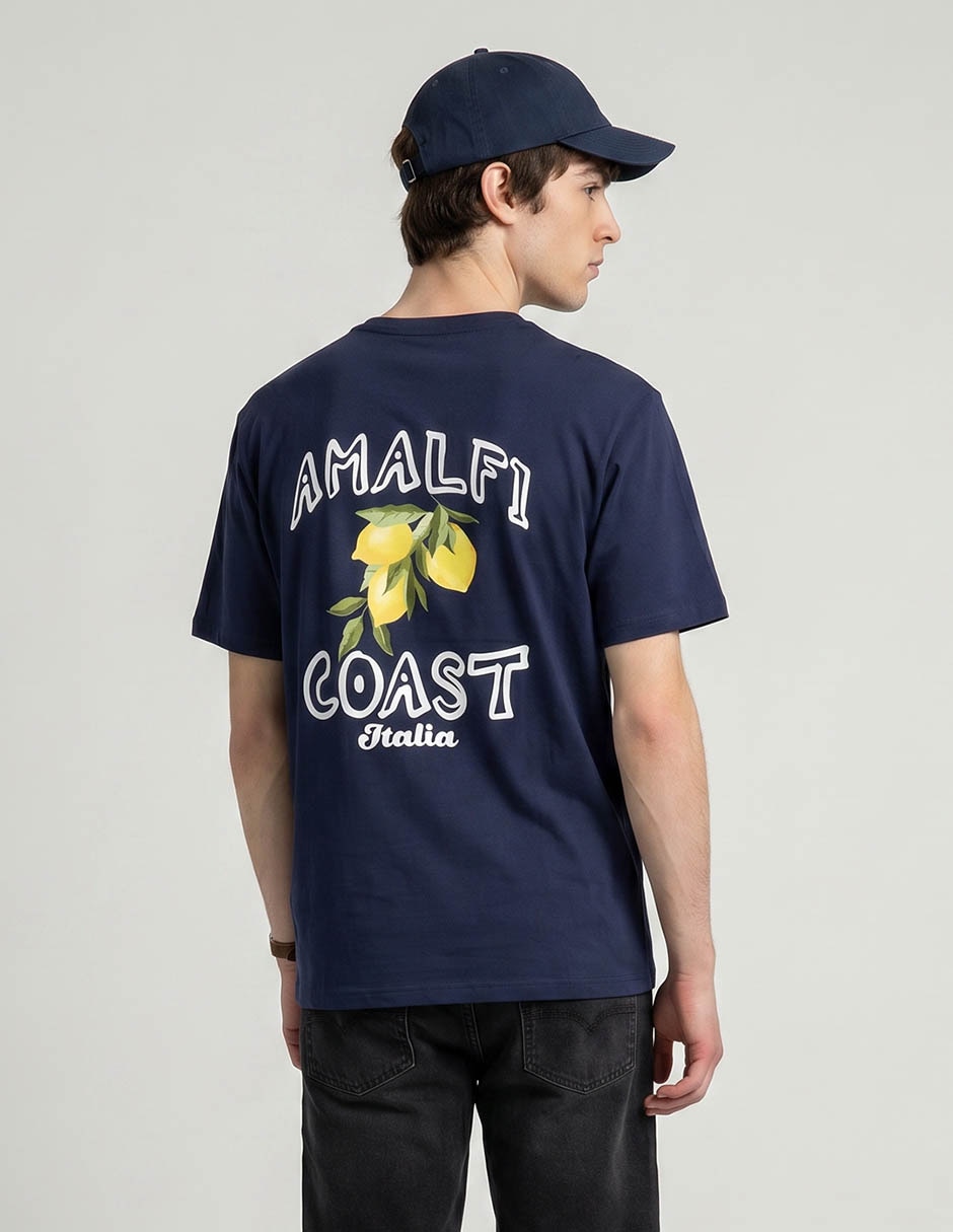 Playera Aéropostale cuello redondo para hombre