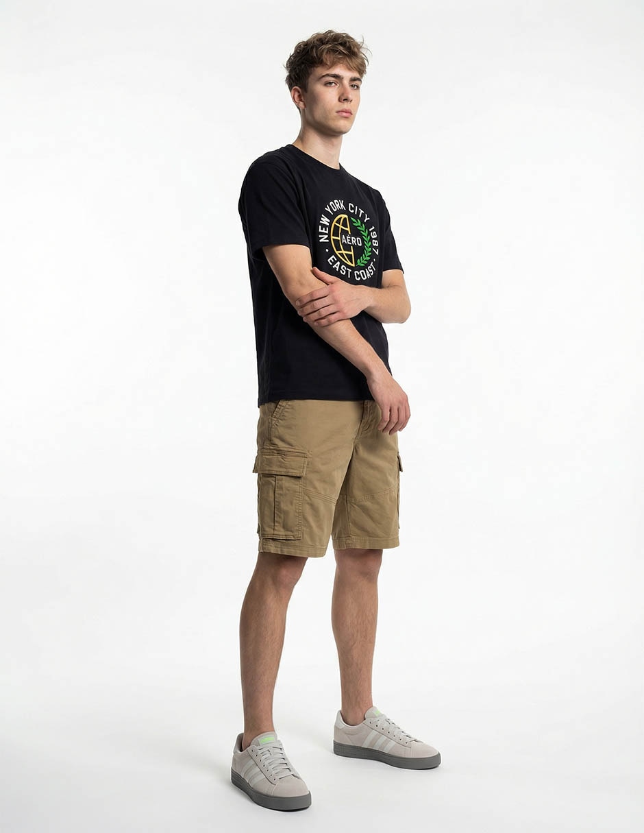 Playera Aéropostale cuello redondo para hombre