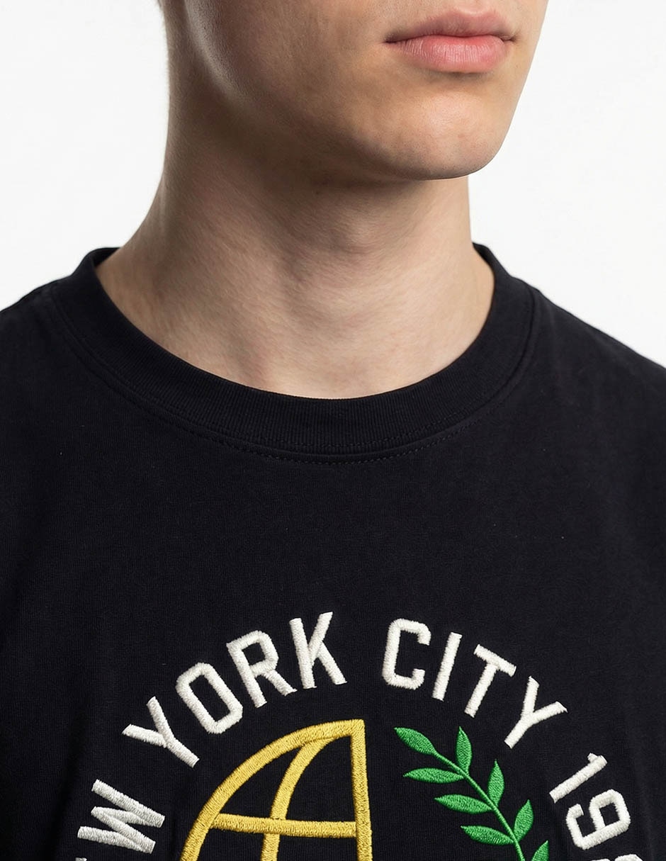 Playera Aéropostale cuello redondo para hombre