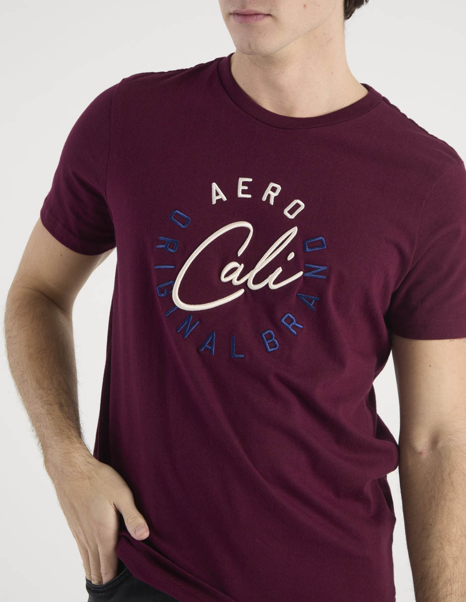 Playera Aéropostale cuello redondo para hombre 4