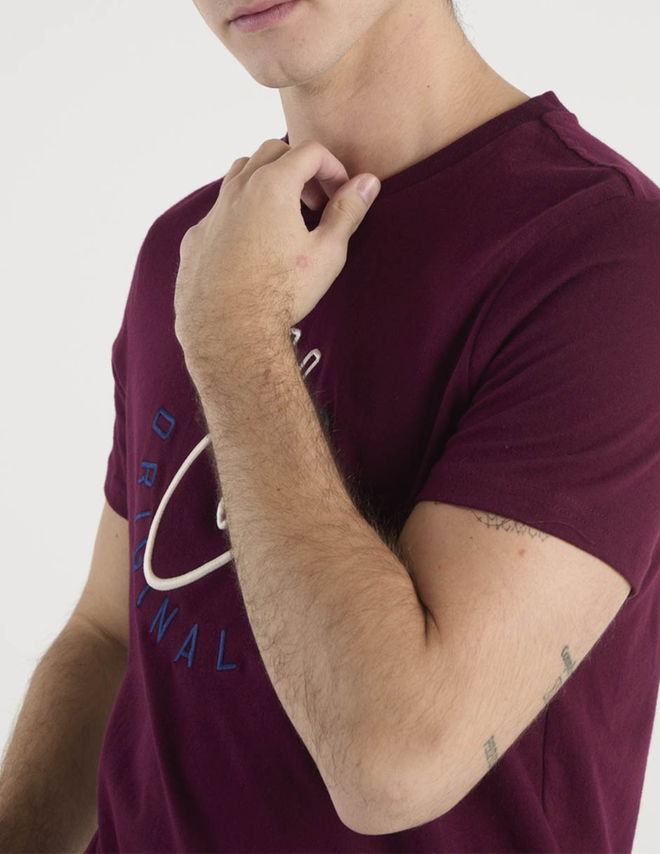 Playera Aéropostale cuello redondo para hombre 5